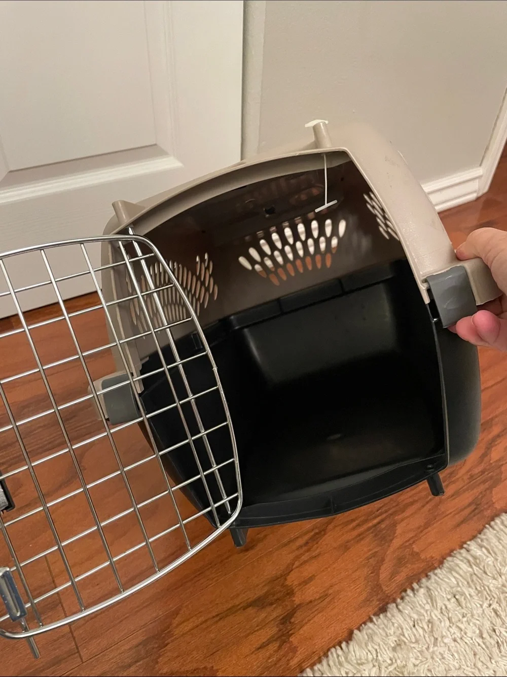 Petmate Small Pet Taxi 19” Travel Taxi Crate For Cats or Small Dogs Great Shape